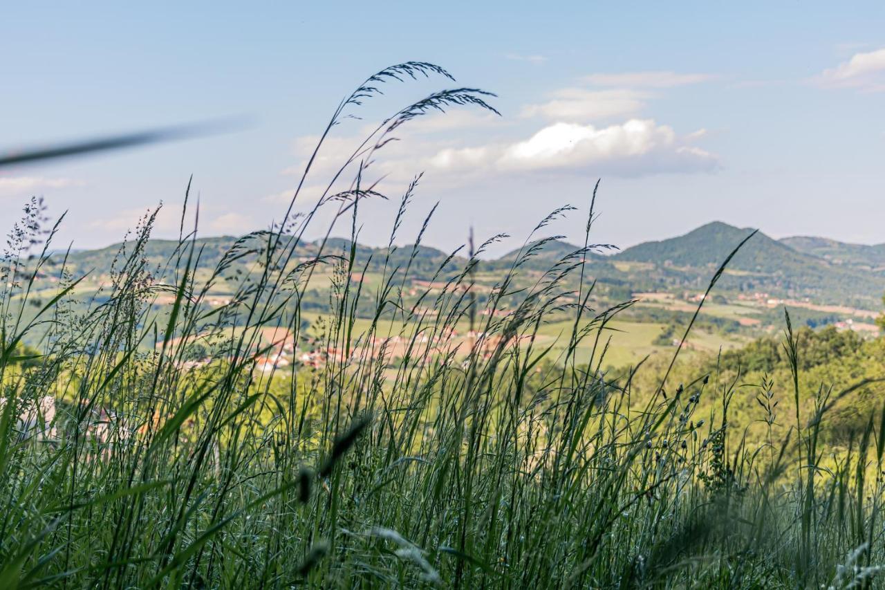 Apartmani Lunija Gornji Milanovac Luaran gambar