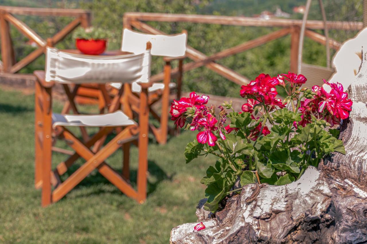 Apartmani Lunija Gornji Milanovac Luaran gambar