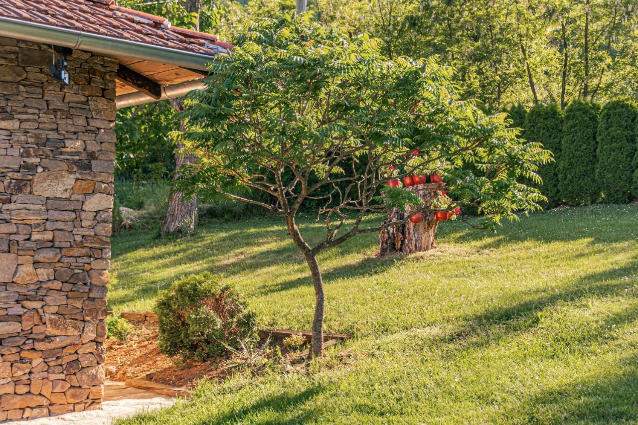 Apartmani Lunija Gornji Milanovac Luaran gambar