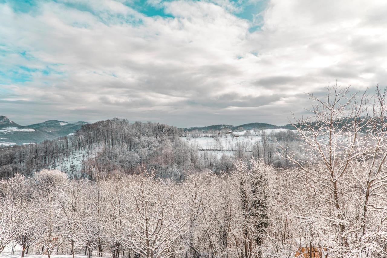 Apartmani Lunija Gornji Milanovac Luaran gambar