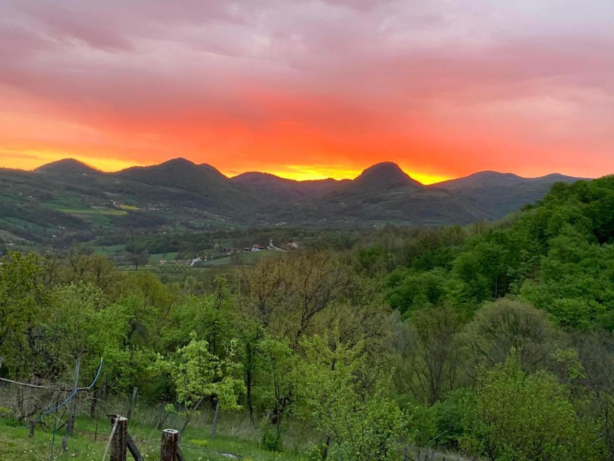 Apartmani Lunija Gornji Milanovac Luaran gambar