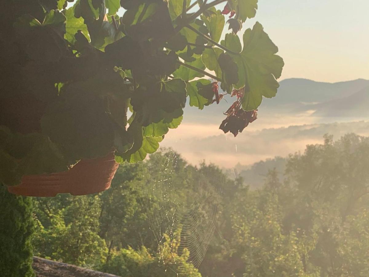 Apartmani Lunija Gornji Milanovac Luaran gambar